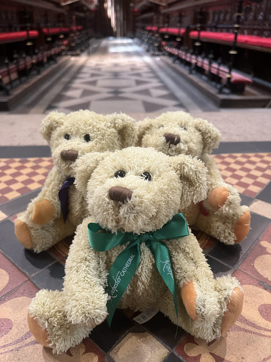 Rochester Cathedral Bear
